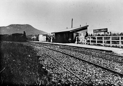 An old black and white photo of a steam train arriving at Murwillumbah railway station, with Mount Warning in the background